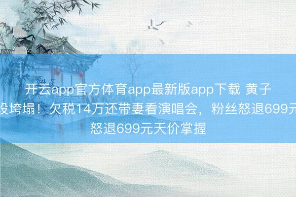 开云app官方体育app最新版app下载 黄子韬东谈主设垮塌!欠税14万还带妻看演唱会,粉丝怒退699元天价掌握