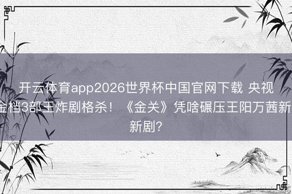 开云体育app2026世界杯中国官网下载 央视黄金档3部王炸剧格杀！《金关》凭啥碾压王阳万茜新剧？