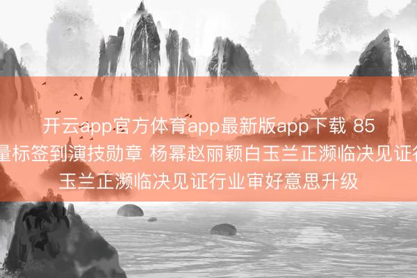 开云app官方体育app最新版app下载 85花十年变调 从流量标签到演技勋章 杨幂赵丽颖白玉兰正濒临决见证行业审好意思升级