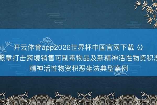 开云体育app2026世界杯中国官网下载 公安部公布10起照章打击跨境销售可制毒物品及新精神活性物资积恶坐法典型案例