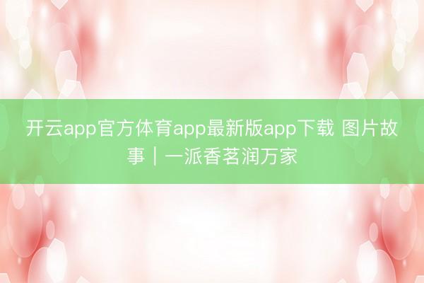 开云app官方体育app最新版app下载 图片故事|一派香茗润万家